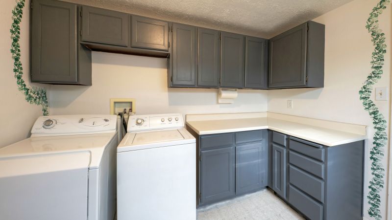 Cabinet Painting Service